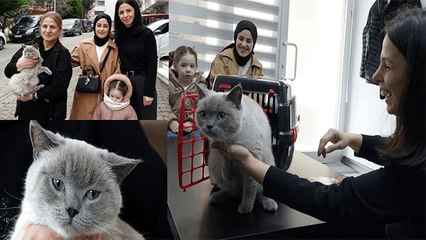 Badem'i buldular: Sahibi altın sözünü tuttu