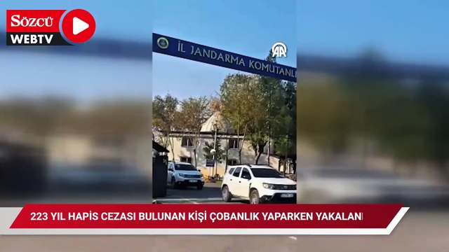 Köydeki çoban 223 yıl hapisle aranan firari çıktı: Böyle yakalandı