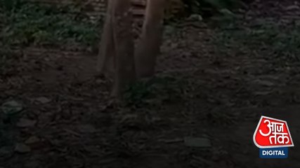 Malda: बंद घर में धमाका, खेलते वक्त घायल हुए 5 बच्चे