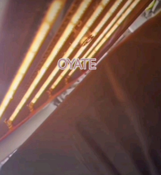 625mm 1500w Quartz infrared fast medium wave lamp IR halogen lamp for automatic printing dry