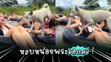 ล่องห่วงยางไม่เหงา เพราะมี “น้องหมาเจ้าถิ่น” แจมด้วย !