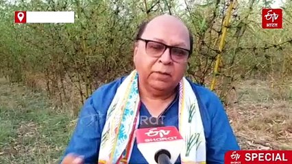 ग्रीन गोल्ड बांस की खेती फायदेमंद, इस शख्स ने खुद शुरू की खेती, दूसरों को भी कर रहे प्रेरित