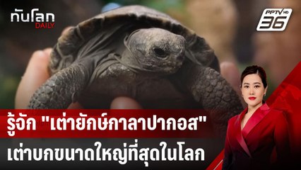 รู้จัก "เต่ายักษ์กาลาปากอส" เต่าบกขนาดใหญ่ที่สุดในโลก | ทันโลก DAILY | 18 เม.ย. 68