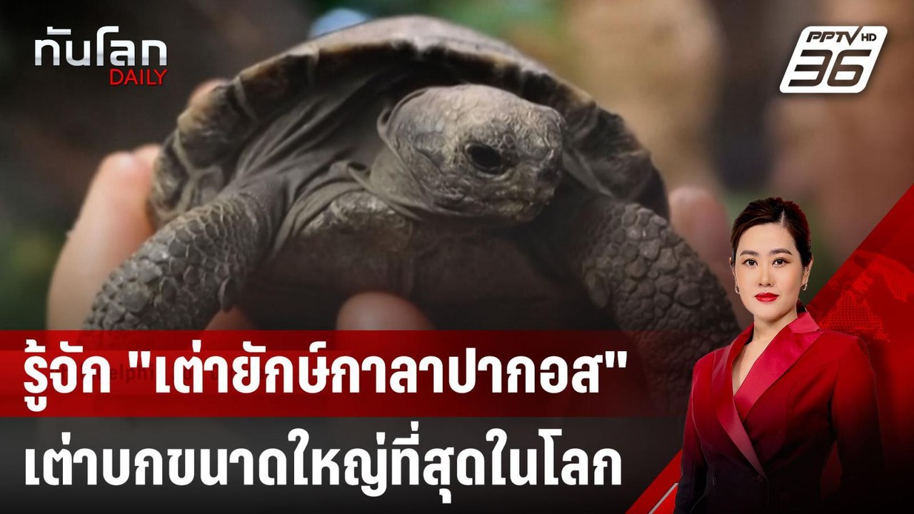 รู้จัก "เต่ายักษ์กาลาปากอส" เต่าบกขนาดใหญ่ที่สุ...