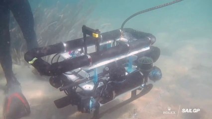 SailGP 2025 / Emirates Ocean Impact Project Saving Seagrass with Reefgen  SailGP