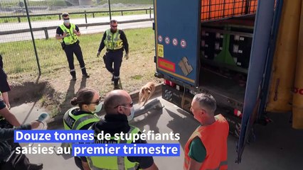 Douanes: face au narcotrafic, la riposte du port de Dunkerque