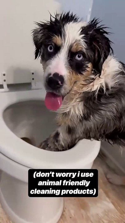 Is she also a plumber?