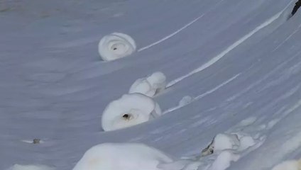 Doğada ender oluşan kar ruloları Amasya’da tekrar görüldü