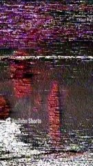 Ivan Graziani. Pigro. Live Teatro Tenda. Firenze. 1978