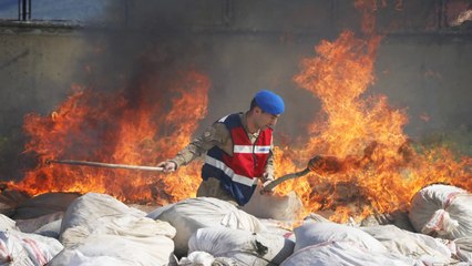 Diyarbakır'da son 2 yılda ele geçirilen 20 ton esrar imha edildi
