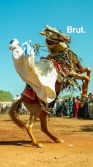 Bénin : les rois sommés de choisir entre couronne et politique