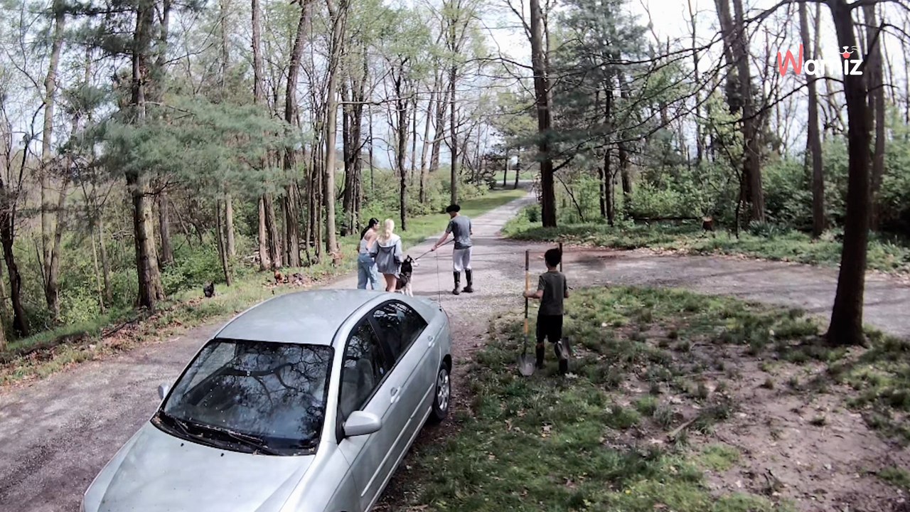 4 millions de personnes sont bouleversées par la dernière vidéo d’un Husky qui part de sa maison