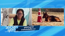 สุนัขบ้านสู่ K9  ภารกิจวัดใจฮีโร่ 4 ขา  | ขอเวลานอก | 19 เม.ย. 68 | PART 2