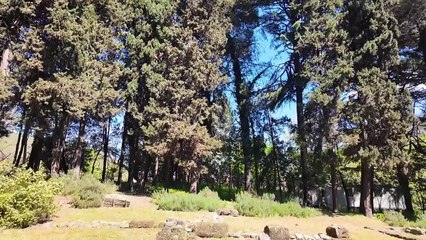 Esplora l'Area Archeologica Etrusco-Sannitica di Fratte a Salerno 🏺