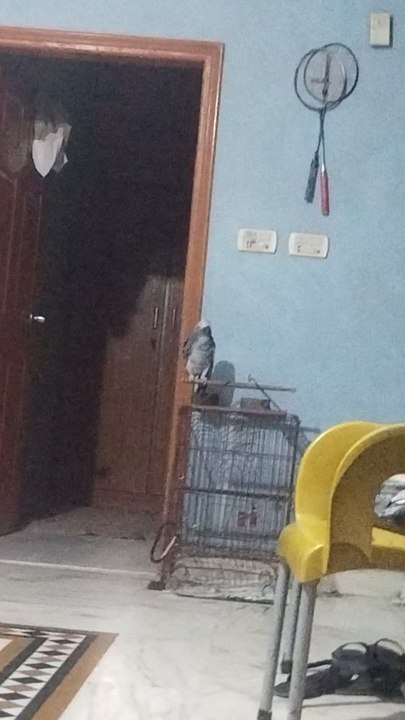 grey thinking