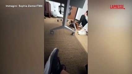 Florida State, panico e paura tra gli studenti dopo la sparatoria: le immagini