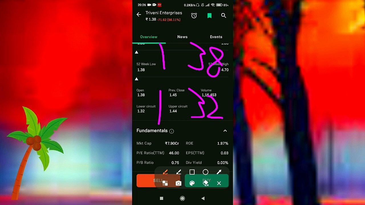 Triveni Enterprises Share Price