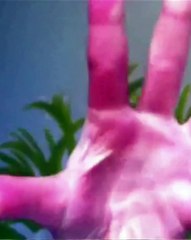 Exposition Time for Women du Max Mara Art Prize for Women