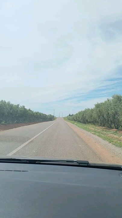فصل الربيع يعود من جديد
