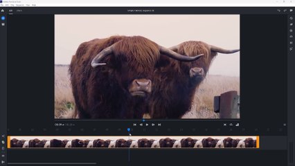 Adobe Premiere Rush 3 Timeline