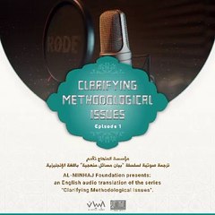 Scientific series in the statement of methodological issues 1