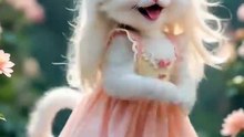 Kitten Police Dance