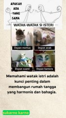 wk wk watak yang aneh