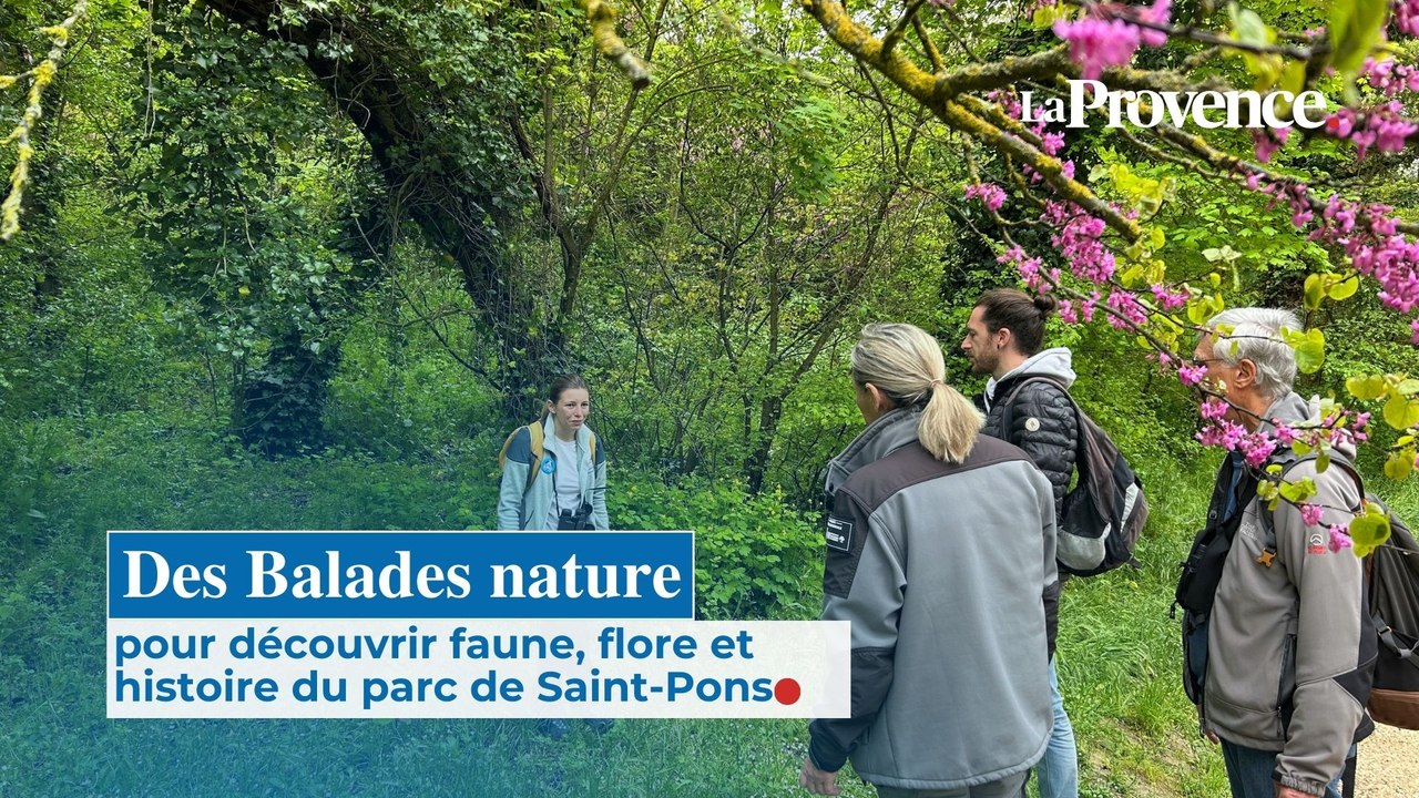 Des Balades nature pour découvrir faune, flore et histoire du parc de Saint-Pons