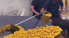My food recipes