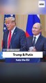 Former UK official: Trump & Putin hate the EU