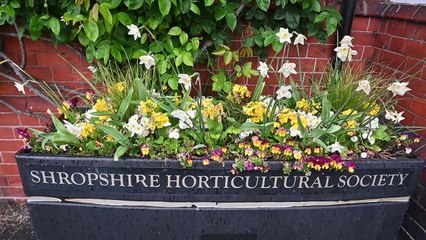 Shrewsbury Flower Show Cancelled: Local Reactions and Concerns 🌸