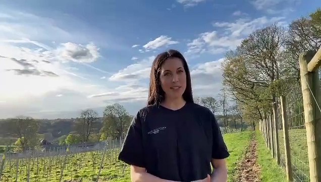 Sophie Ellis from Knotfield Vines near Rawdon on how their sparkling wine has been instant success