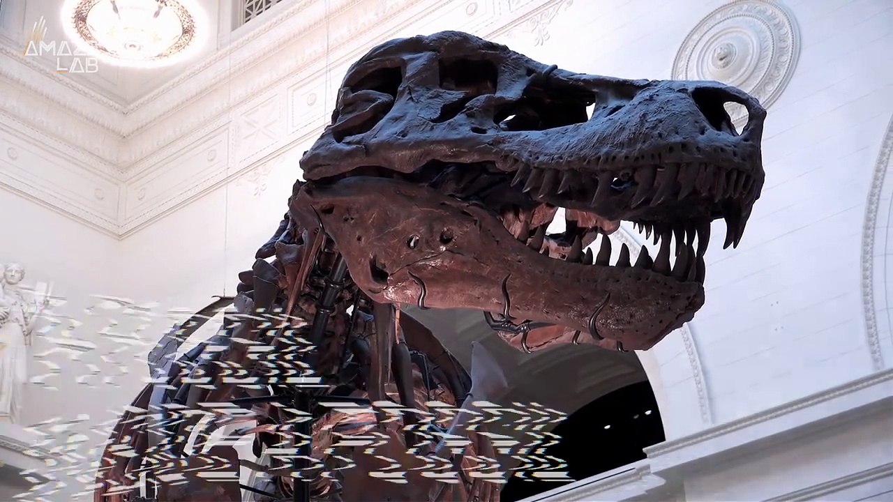 A Discovery Unlike Any Other! A Fossil Inside a T-Rex Reveals What It Had for Lunch