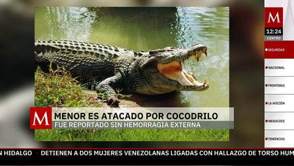 Un menor es atacado por un cocodrilo en Oaxaca