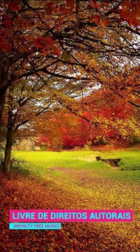 ✅💘Música tranquila calmante para relaxar, meditar e dormir profundamente- Fragmentos #63