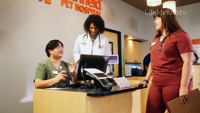 Pet Health Tips for Spring