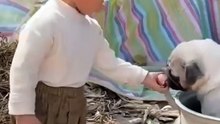 The pet dog was put into the pot by his little master to stew and eat, with a helpless expression