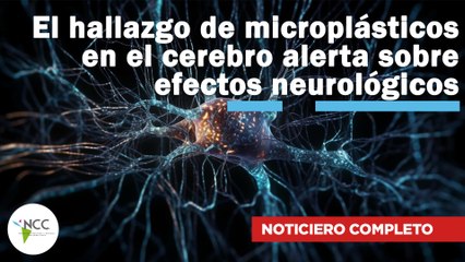 El hallazgo de microplásticos en el cerebro alerta sobre efectos neurológicos |753| 21-27 abril 2025