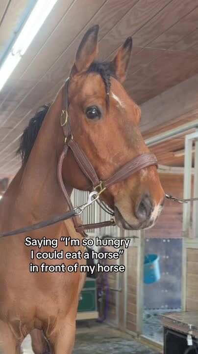 Horse Neighs When Woman Jokingly Mentions Eating Horse Meat Out of Hunger