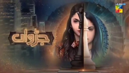 Judwaa - Episode 37 - 19th April 2025 [ Aina Asif & Adnan Raza Mir ] BERG OYSTER PEARL - HUM TV