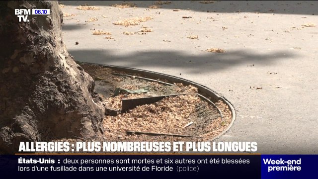 Allergies: plus nombreuses et plus longues en raison du réchauffement climatique