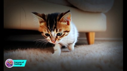 Funny Animated Cat | Cute & Hilarious Cartoon Moments for Kids