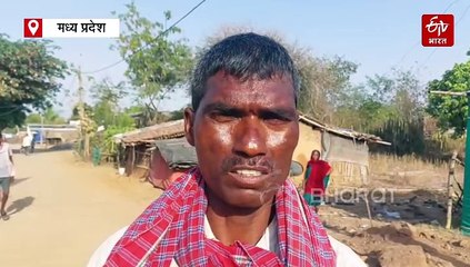 फरियाद सुन बैतूल कलेक्टर अम्मा को लेकर पहुंचे गांव, 2 मिनट में दबंगों की लगा दी वाट