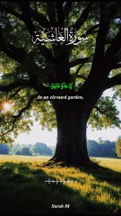 Surah Al-Ghashiyah (7–17) – Paradise & the Signs of Allah | A Quranic Journey Through Creation | Islam Insights