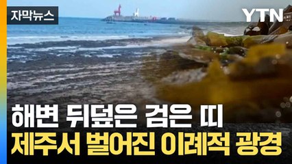 [자막뉴스] 정체불명 해조류 수십 톤...제주 해변 '비상' / YTN
