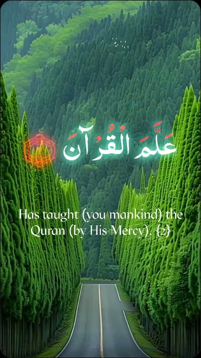 Amin