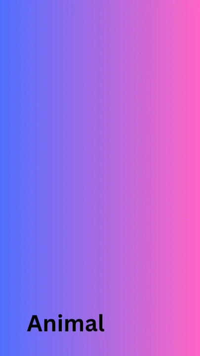 funny video, Funny, cute, baby