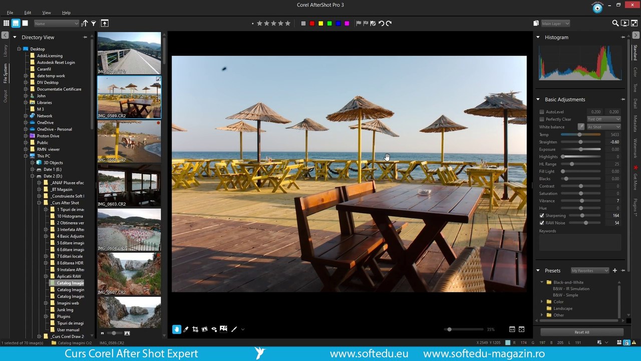 Corel AfterShot, Histograma imaginii