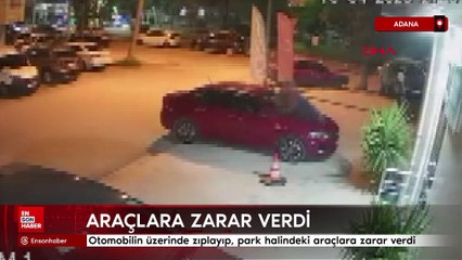 Adana'da park halindeki araçlara zarar verdi