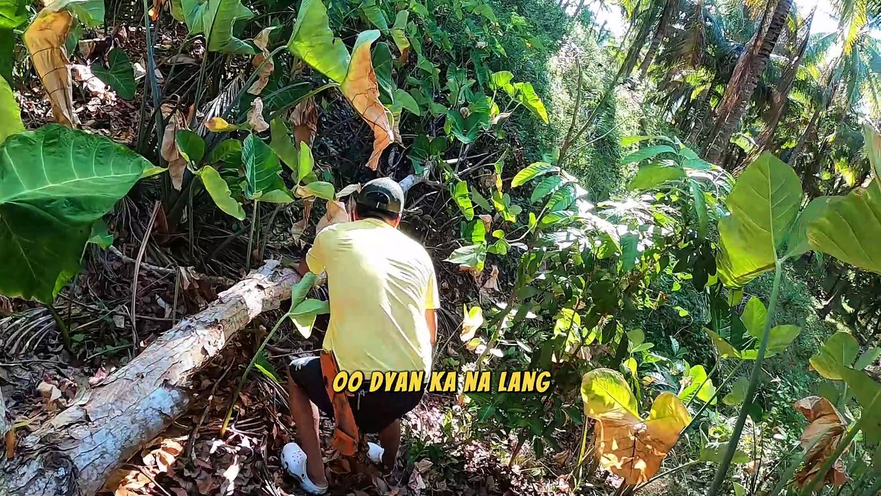 How Filipino Villages Find Firewood for Mud Stoves | Real Village Cooking Life